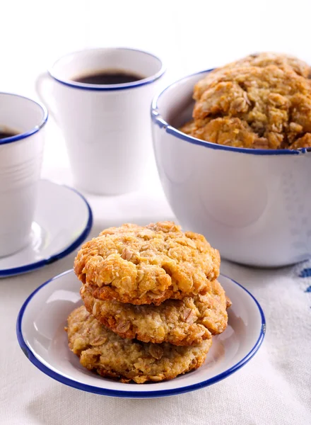 Oatmeal biscuits on a plate — Stock Photo, Image