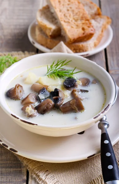 Creamy mushroom soup in bowl — Stock Image Creamy mushroom soup in bowl Stock Photo