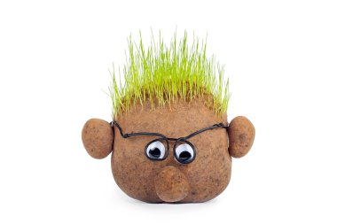 çimenlerin üzerinde üst beyaz arka plan üzerinde kafa