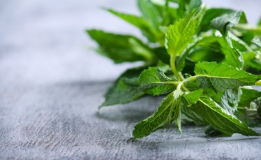 Kıvırcık nane saplarını 
