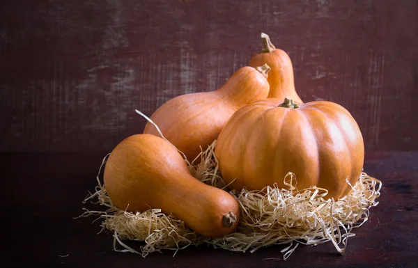 Pumpkin and squash — Stok fotoğraf