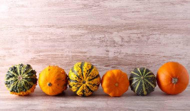 Karışık balkabakları, sonbahar, sonbahar mevsimi durgun hayat