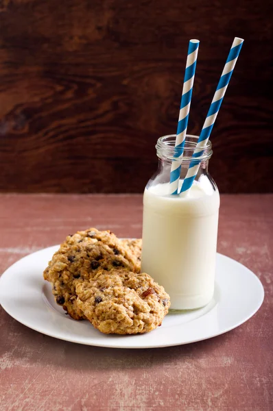 Galletas de avena, sultana y chispas de chocolate — Foto de Stock