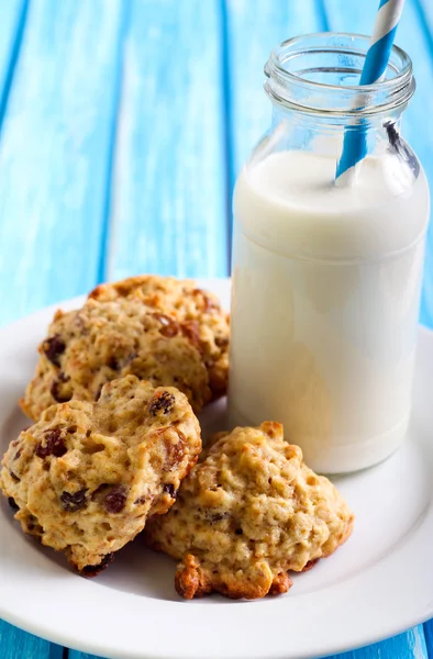 Oatmeal Äppelmos cookies — Stockfoto