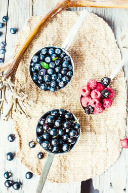 taze yaban mersini, kuş üzümü ve bektaşi metalik pla