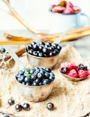 taze yaban mersini, kuş üzümü ve bektaşi metalik pla