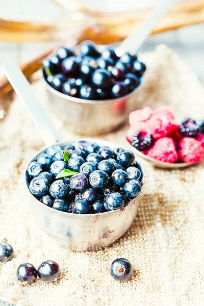 Frische Blaubeeren, Johannisbeeren und Himbeeren, selektiver Fokus, rus — Stockfoto