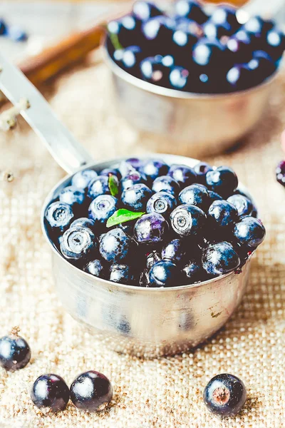 Frische Blaubeeren, Johannisbeeren und Stachelbeeren, selektiver Fokus, — Stockfoto