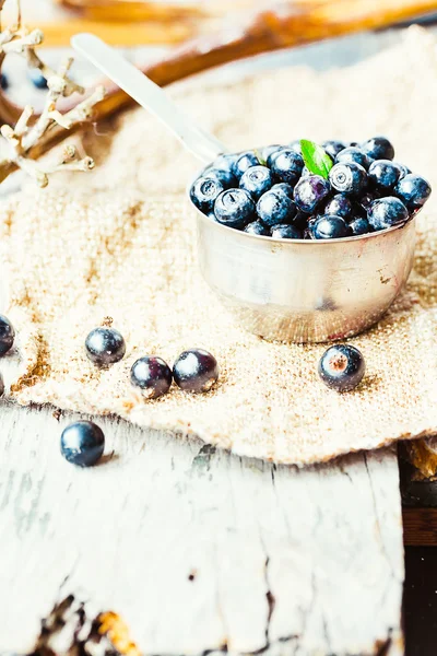 Fresh blueberries, currants and gooseberries in the metallic pla — Stock Photo, Image