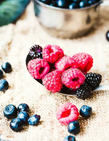 Fresh blueberries, currants and raspberries,selective focus, rus — Stock Photo, Image