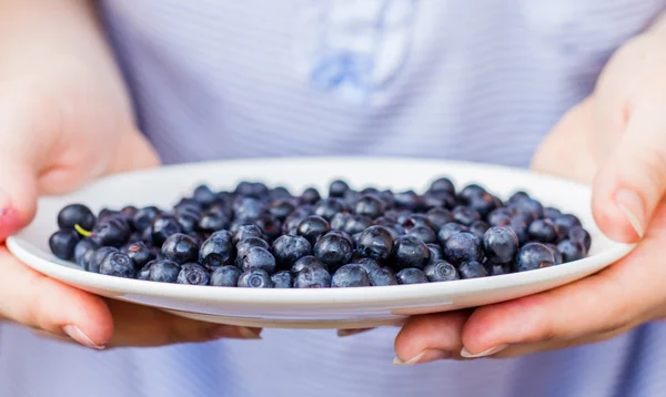 Teller mit Blaubeeren in der Hand — Stockfoto