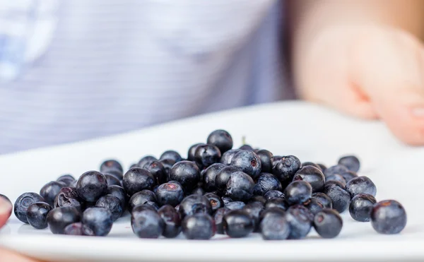 Teller mit Blaubeeren in der Hand — Stockfoto