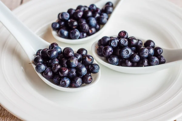 Blueberries in the spoons on a white plate — Stock Photo, Image