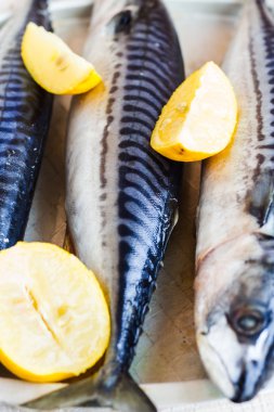 Bütün taze balık, uskumru demir zemin üzerine