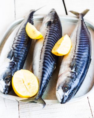 metal tahtada limonlu taze balık uskumru