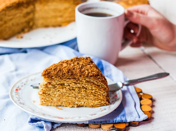 Honey caramel cake with butter cream and nuts — Stock Photo, Image