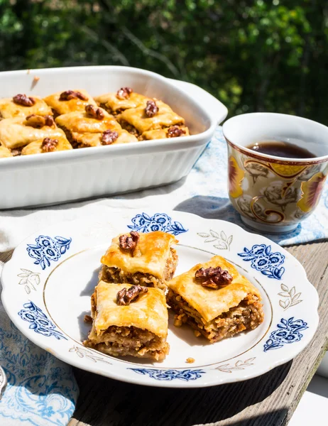 Kousky tureckého medu baklavy, zelený zahradní pozadí — Stock fotografie