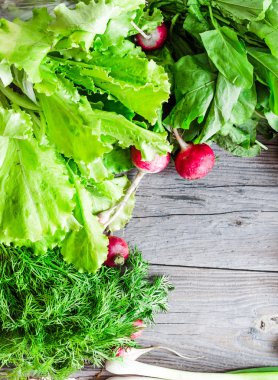 bir tahta masa, vegan, metin için yer üzerinde taze yeşil sebze