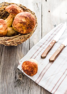 Boletus mantar gri bir gemide, rustik arka plan, seçici 