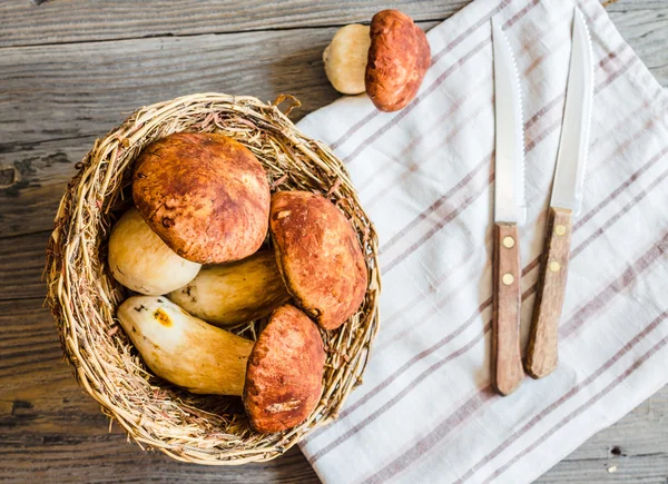 Champignons bolets sur une planche grise, fond rustique, couteaux — Photo