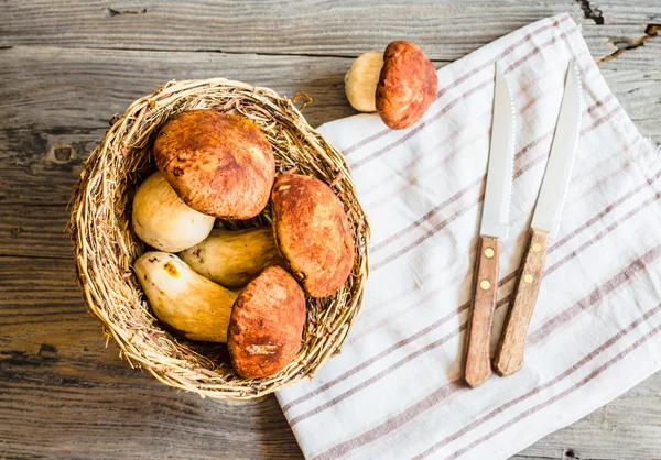 Champignons bolets sur une planche grise, fond rustique, couteaux — Photo