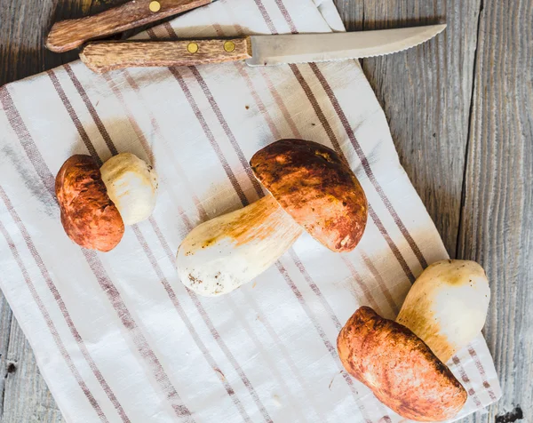 Болетові гриби на сірій дошці, сільський фон, ножі — стокове фото
