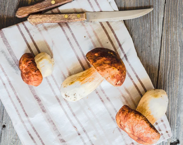 Boletus las setas sobre la tabla gris, el fondo rústico, los cuchillos — Foto de Stock