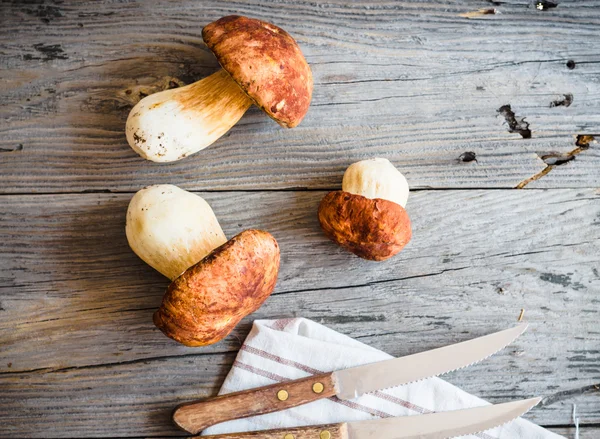 Boletus las setas sobre la tabla gris, el fondo rústico, los cuchillos — Foto de Stock