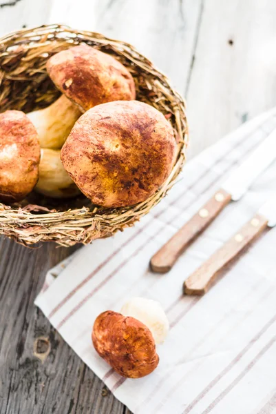 Steinpilze auf grauem Brett, rustikaler Hintergrund, selektiv — Stockfoto