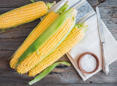 Taze mısır koçanı ahşap yüzey, tüm bitkisel gıdalar, üst v
