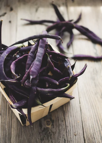 Purple Wax Beans — Stock Photo, Image
