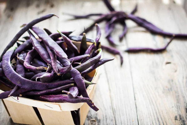 Purple Wax Beans on a gray background — Stock Photo, Image