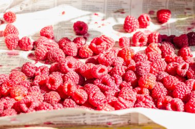 mezarda taze kırmızı ahududu