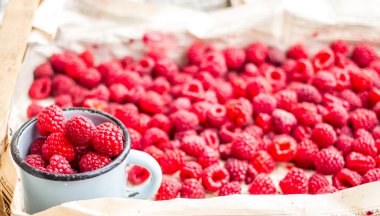 bir metal kupa ve plaser taze kırmızı ahududu