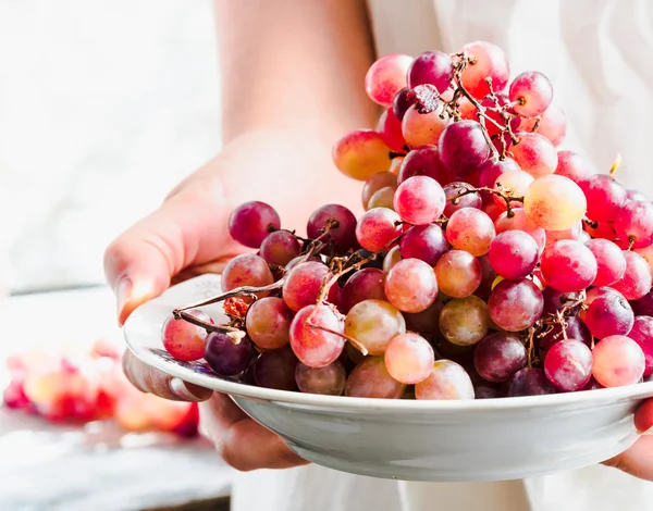 Håller i sina händer en tallrik färska röda druvor, råa frukter — Stockfoto