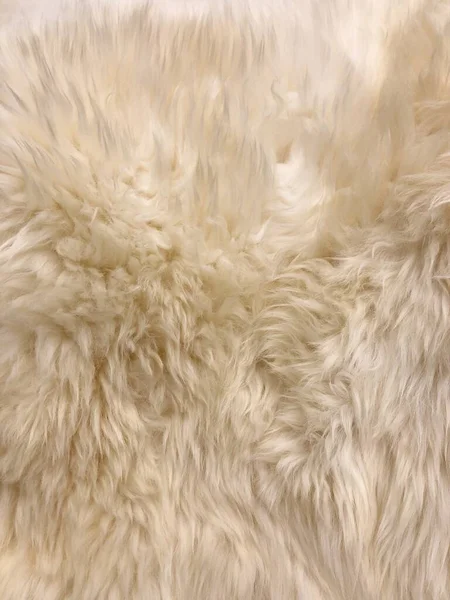 Light luxury soft fur background