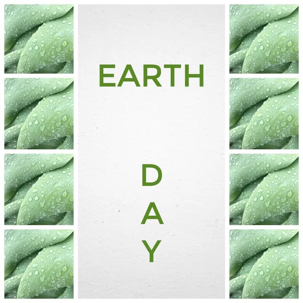 Greeting card for holiday EARTH DAY