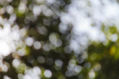 Gündoğumu backgroud bokeh ışığı 