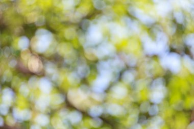 Gündoğumu backgroud bokeh ışığı 