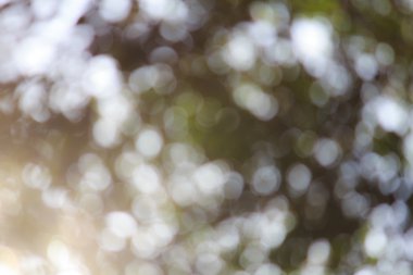 Gündoğumu backgroud bokeh ışığı 