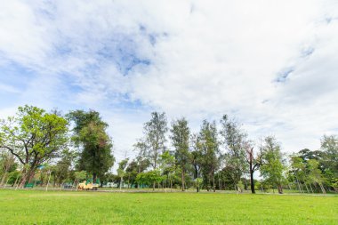 Landscap park ve çim City