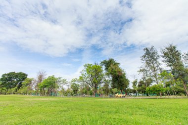 Landscap park ve çim City