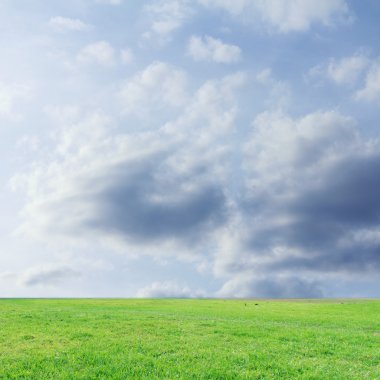 Landscap gökyüzü ve arka plan üzerinde çim