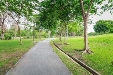 Landscap park ve çim City