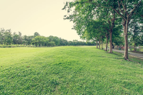 El estilo vintage landscap en el parque — Foto de Stock