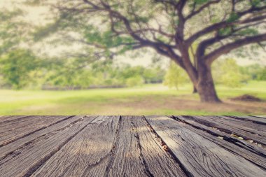 Landscap vintage tarzı Park