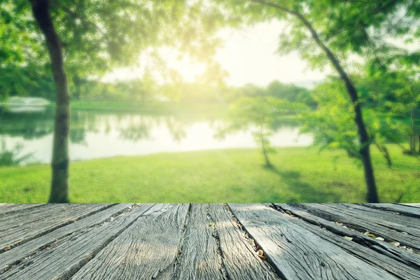 El estilo vintage landscap en el parque — Foto de Stock