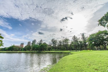 Landscap park ve çim City
