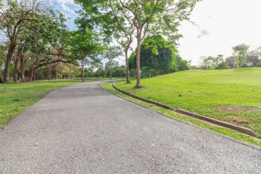 Landscap park ve çim City