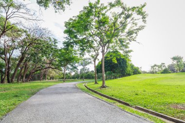 Landscap park ve çim City